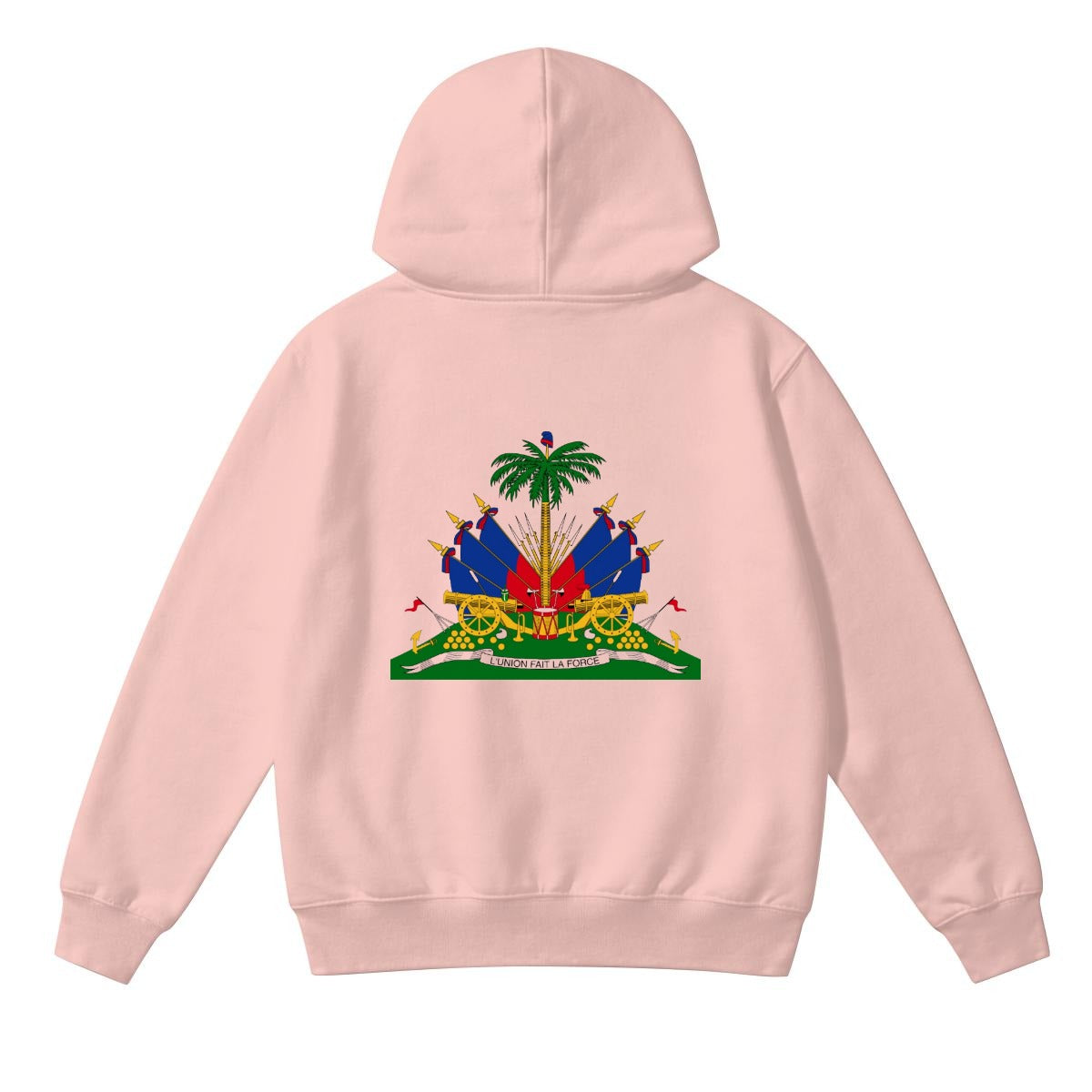Unisex Heavyweight Hoodie| 290GSM DTF