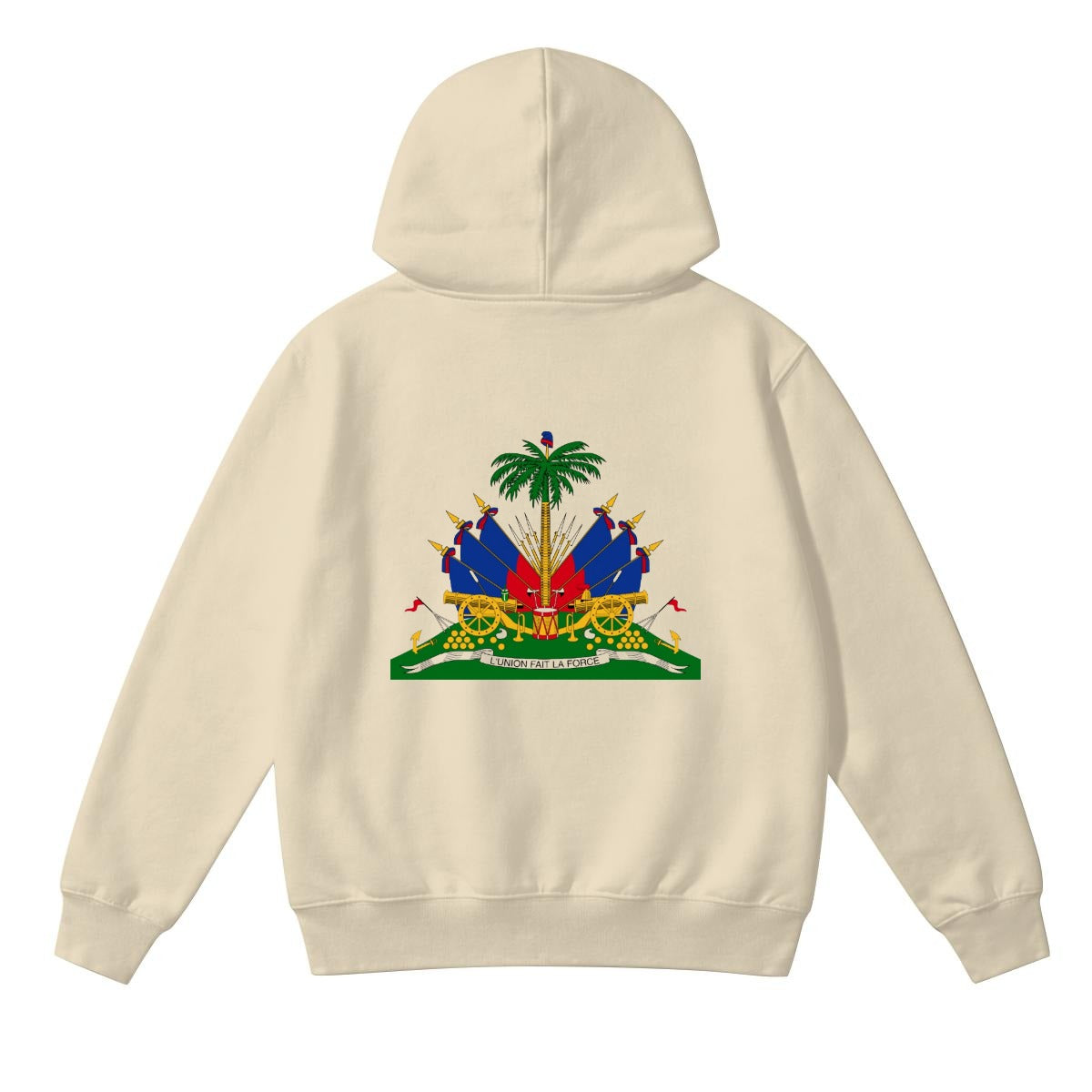Unisex Heavyweight Hoodie| 290GSM DTF