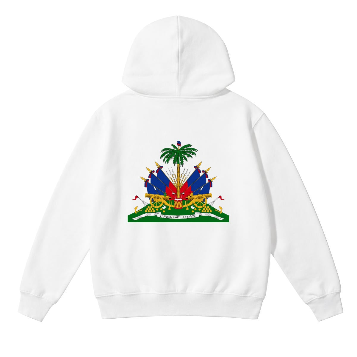 Unisex Heavyweight Hoodie| 290GSM DTF